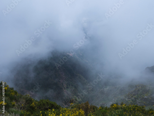 View of green foggy misty mountain landscape covered with yellow flowers and white dry trees at hiking trail PR12 to Pico Grande one of the highest peaks in the Madeira  Portugal