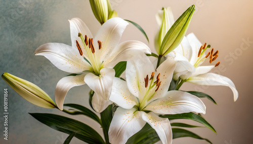 beautiful white lilies on light background, evoking gentleness and purity