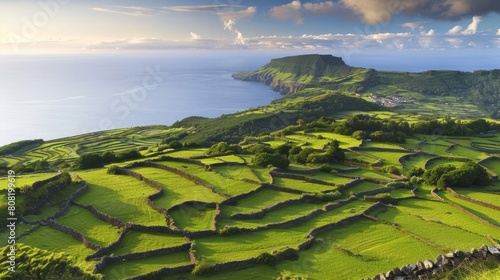   A lush green hillside nestles by a body of water In the distance  an ocean harbors a small island  its center crowned by greenery
