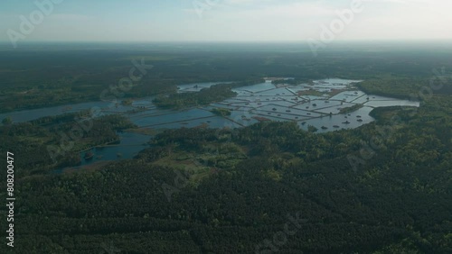 beautiful artificial lake in green forest, serene fishing pond and swamp, fishery and hunting industry, aerial top view, Osowek Poland 4k photo