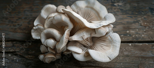 oyster mushrooms growing on a wooden table, top view, dark background,