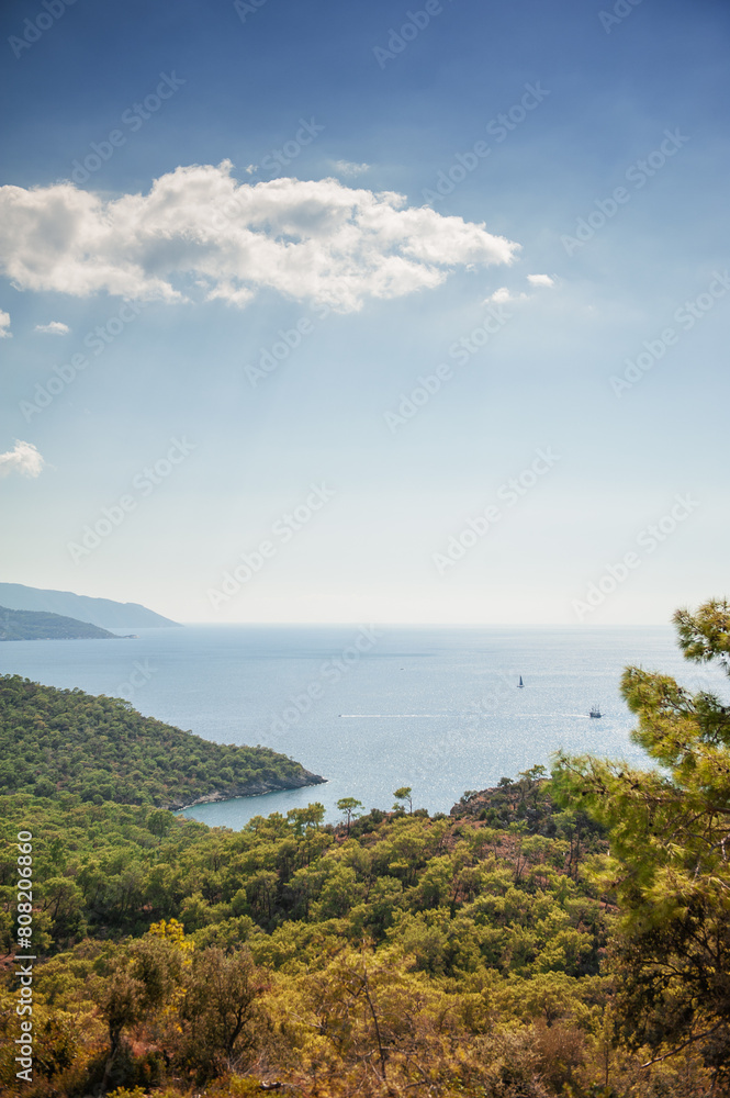 Obraz premium Beautiful atmospheric landscape with blue sea, forest hills, sky and tree branch