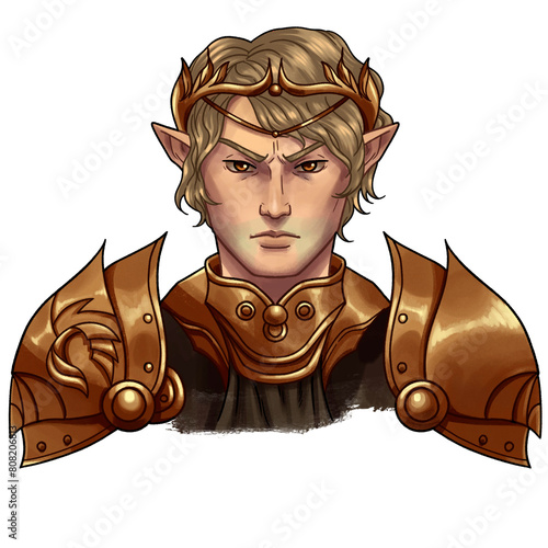 Fotografie Elf King
