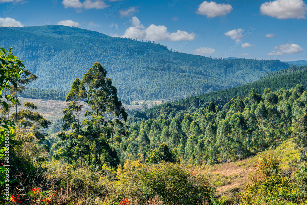 Fototapeta premium Landscape vista mountains in Graskop Gorge, Mpumalanga province located east of South Africa