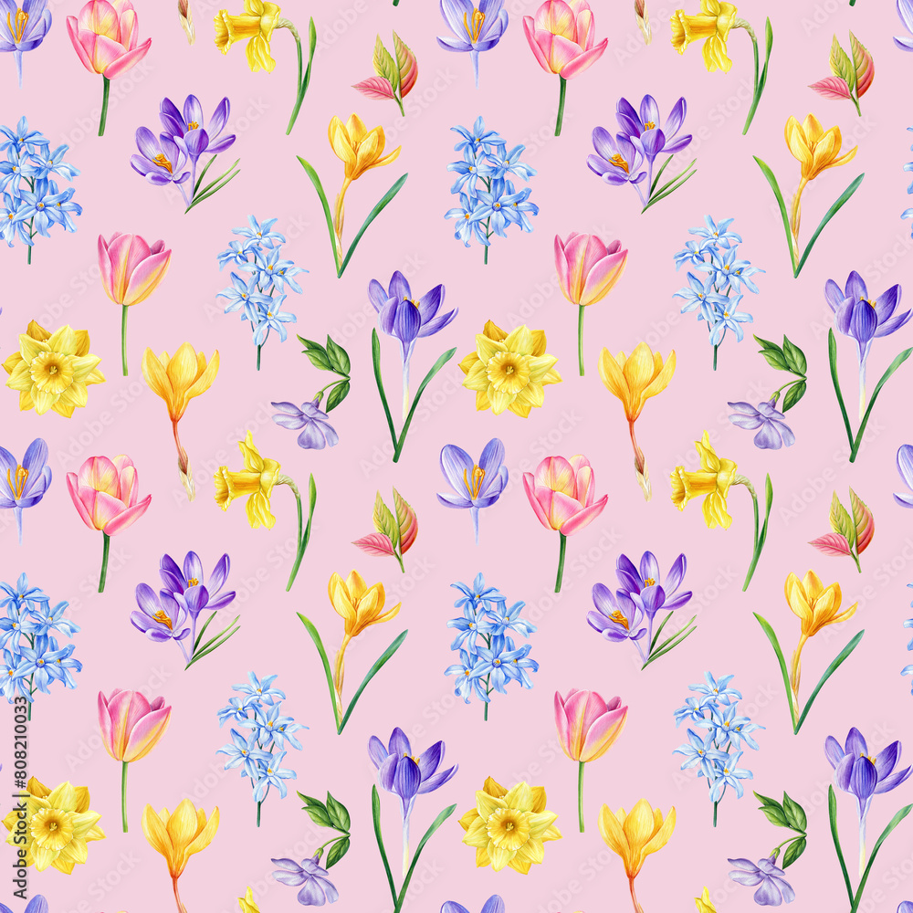 Watercolor spring flower. Crocus, daffodils and tulips Seamless pattern, floral pink background template. Modern pattern Watercolor spring flower. Crocus, daffodils and tulips Seamless pattern, floral pink background template. Modern pattern