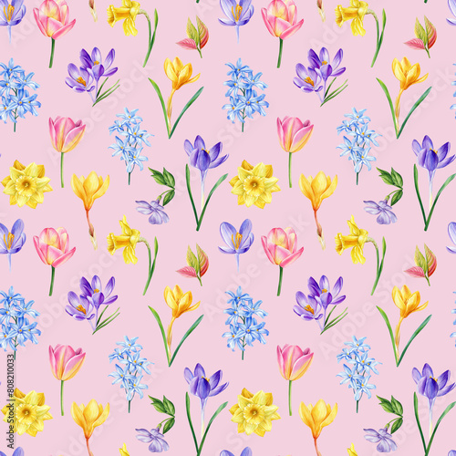 Watercolor spring flower. Crocus, daffodils and tulips Seamless pattern, floral pink background template. Modern pattern