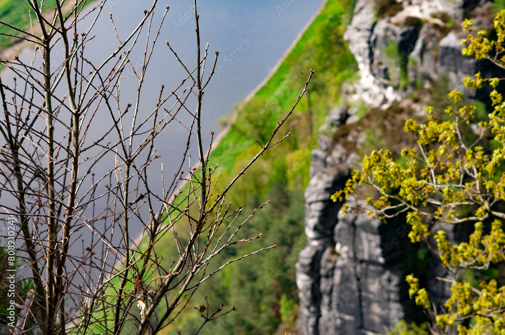 Fototapeta premium Beautiful summer view of Elbe river from Bastei view pont. Colorful morning scene of Saxon Switzerland national park, Germany, Europe.