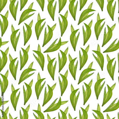 Green herbs seamless pattern. Cute hand drawn watercolor elements. Background for decor, wrapping paper, ceramics tile, posters, banners.