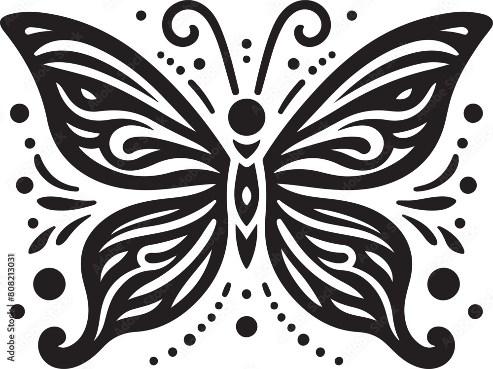 black and white butterfly black and white butterfly