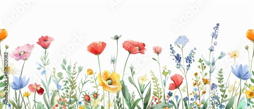 Watercolor of flower showcasing a field of wildflowers in Japan draw art styles, clipart watercolor easy detail on white background