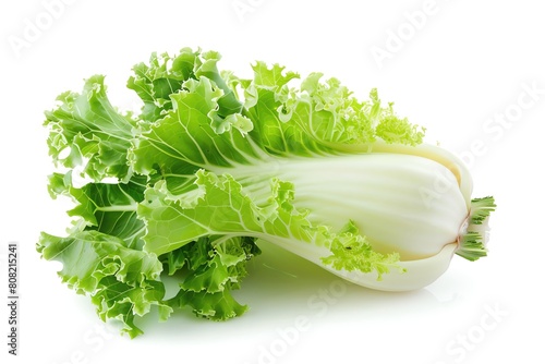 A whole endive with curly leaves, isolated on a white background photo