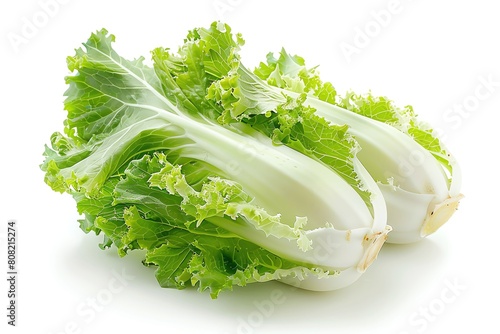 A whole endive with curly leaves, isolated on a white background photo