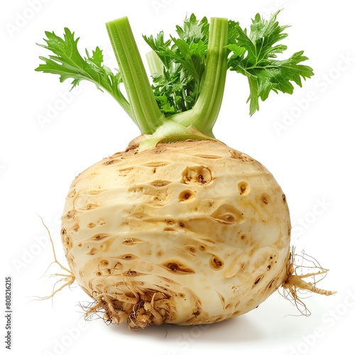 A fresh celeriac root with its knobby texture, isolated on a white background photo