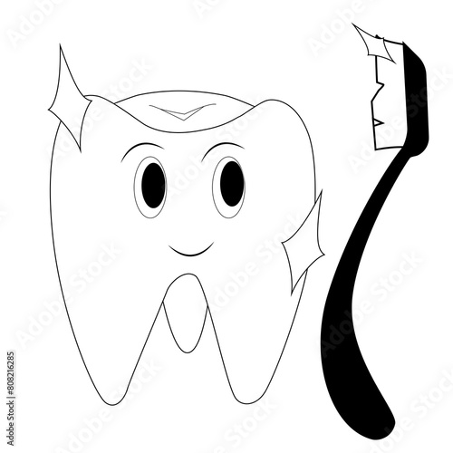 Tooth illustration