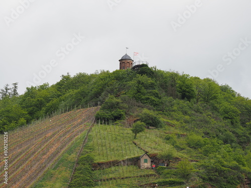 Obraz na płótnie Zell - Stadt an der Mosel in Rheinland-Pfalz w salonie