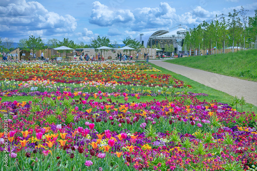 BUGA, Bundesgartenschau 2023 in der Universitaetsstadt Mannheim in der Kurpfalz in Baden-Wuerttemberg, Deutschland, Europa photo