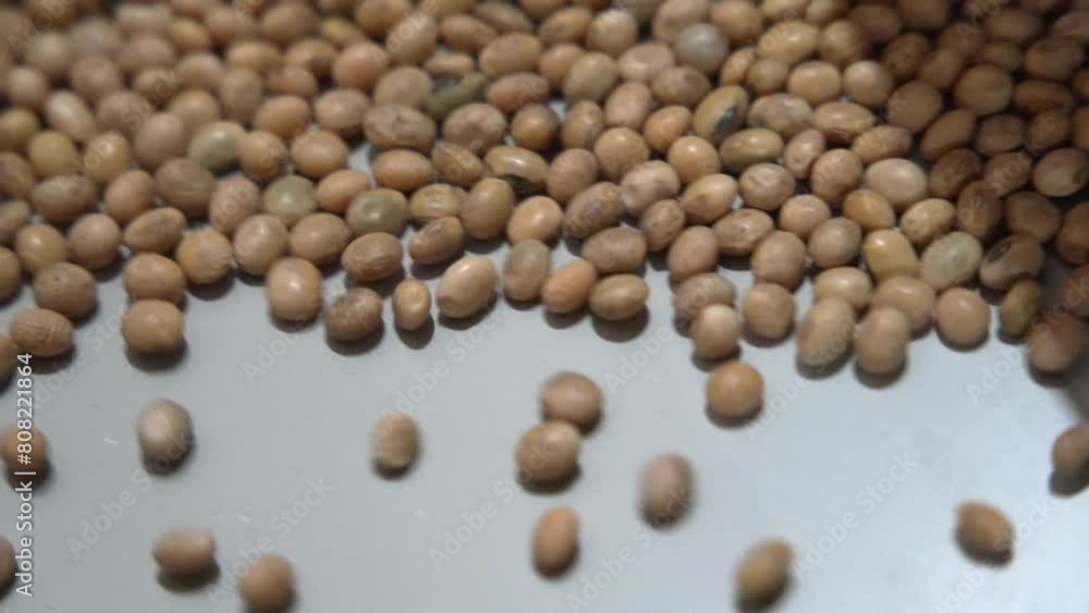 grain processing factory processing soybeans grain processing factory processing soybeans