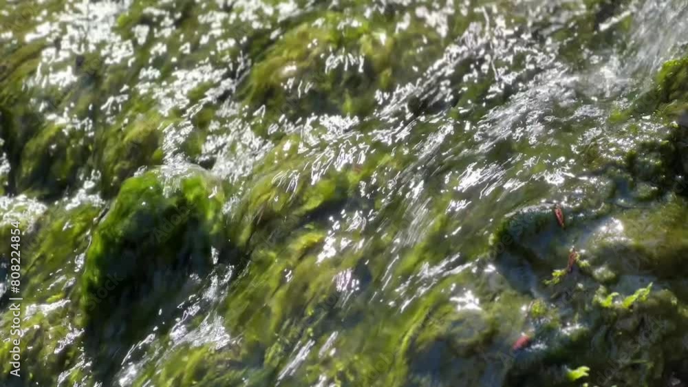 Close-up of a stream flowing over vibrant green moss-covered rocks, sparkling in sunlight.
Close-up of a stream flowing over vibrant green moss-covered rocks, sparkling in sunlight.