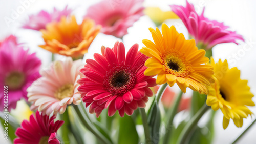 Vibrant bouquet of gerbera daisies in shades of pink  red  orange  and yellow  exuding freshness and natural beauty.