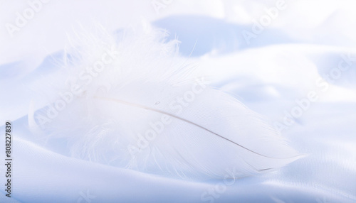 Abstract  elegant fluffy feathers. Three-dimensional background in shades of blue.