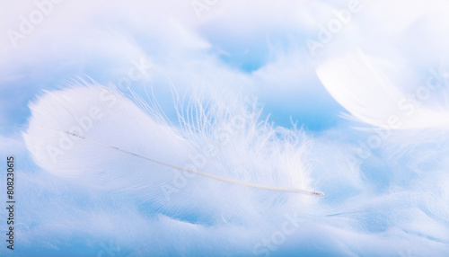 Abstract, elegant fluffy feathers. Three-dimensional background in shades of blue.