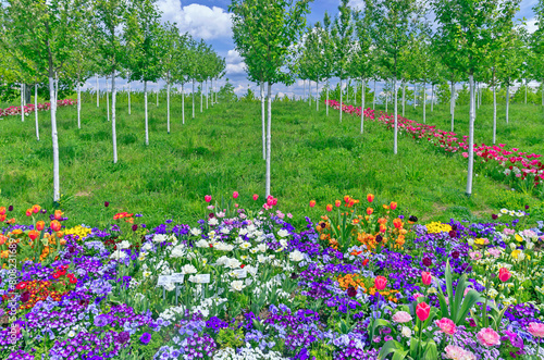 BUGA, Bundesgartenschau 2023 in der Universitaetsstadt Mannheim in der Kurpfalz in Baden-Wuerttemberg, Deutschland, Europa photo