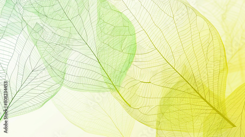 Fresh spring gradient from leaf green to pale yellow in a vibrant abstract wireframe refreshing  lively photo