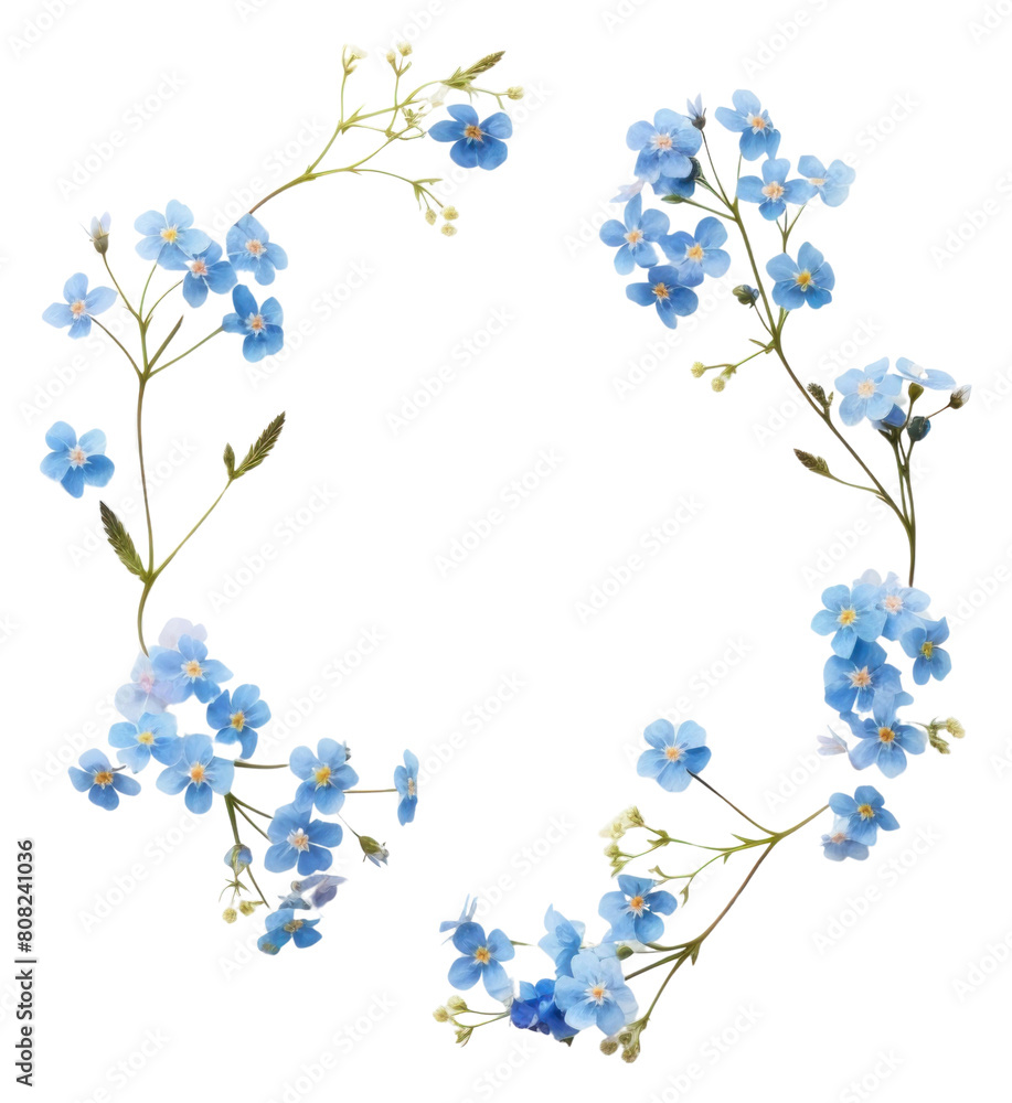 PNG Real pressed forget me not flowers jewelry wreath plant.