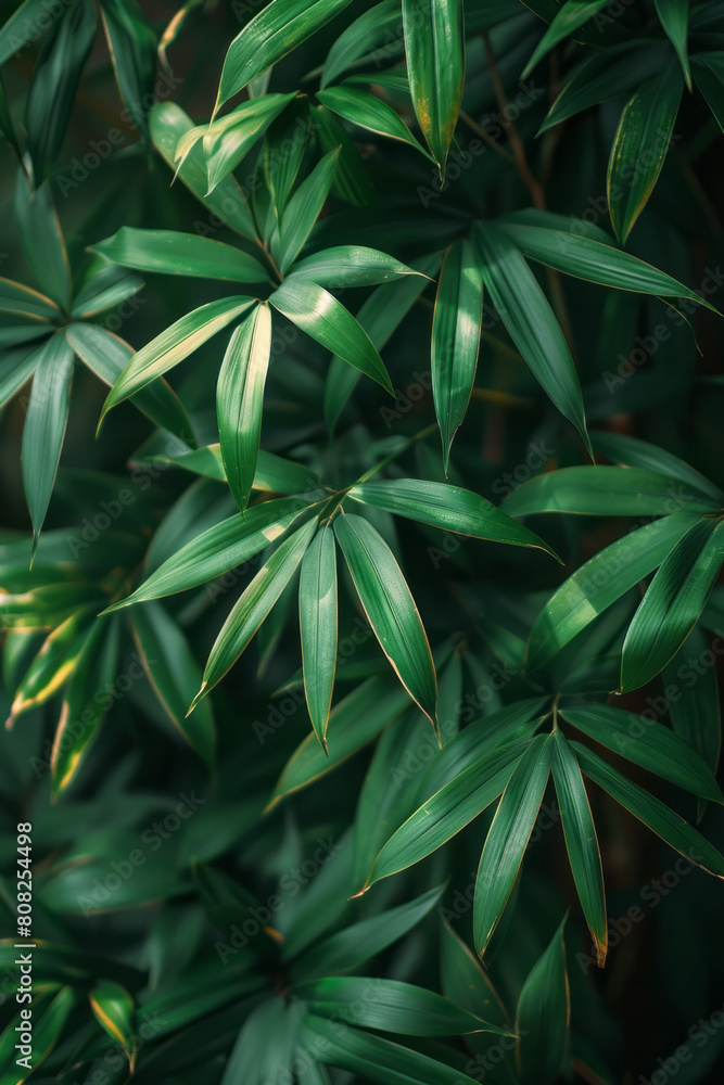 A dense thicket of bamboo, the stalks painted in vivid greens and the leaves creating a pattern of light and shadow, A dense thicket of bamboo, the stalks painted in vivid greens and the leaves creating a pattern of light and shadow,