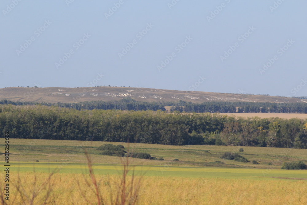 summer landscape of forests and fields in southern Russia