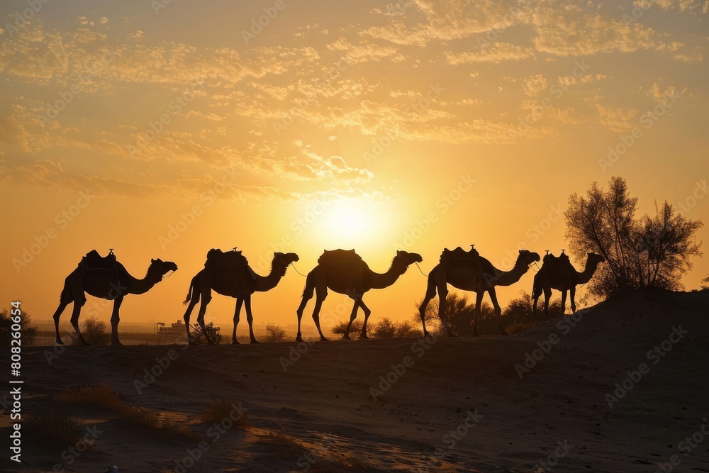 Camels silhouetted against a Dubai, breathtaking view of a camel caravan riding through the desert at sunset, Ai generated Camels silhouetted against a Dubai, breathtaking view of a camel caravan riding through the desert at sunset, Ai generated