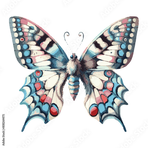 Whimsical Butterfly bliss  Watercolor  image on a Transparent Background