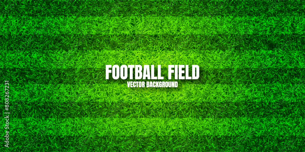 Soccer playing field with green grass. Football pitch background with ...