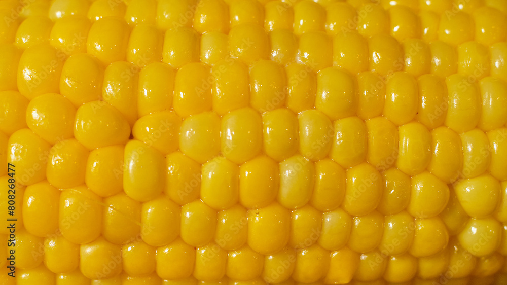 bright yellow boiled corn with butter detailed view bright yellow boiled corn with butter detailed view