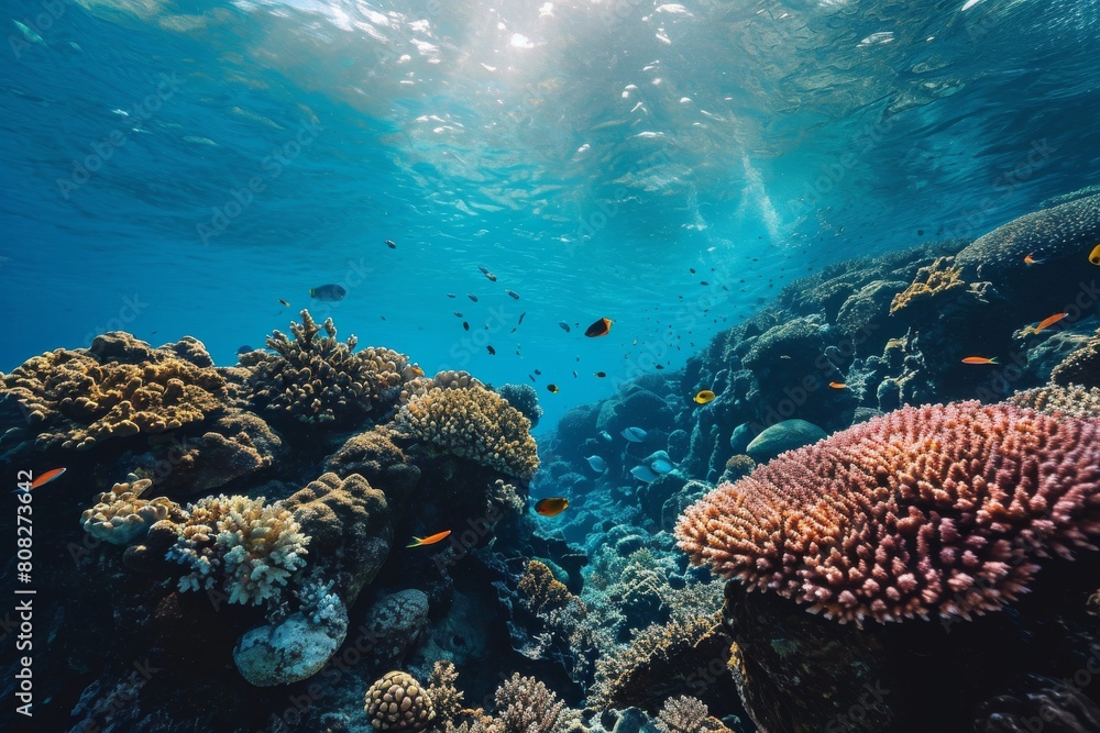 Fototapeta premium Underwater view, Blue ocean coral reef , Ai generated