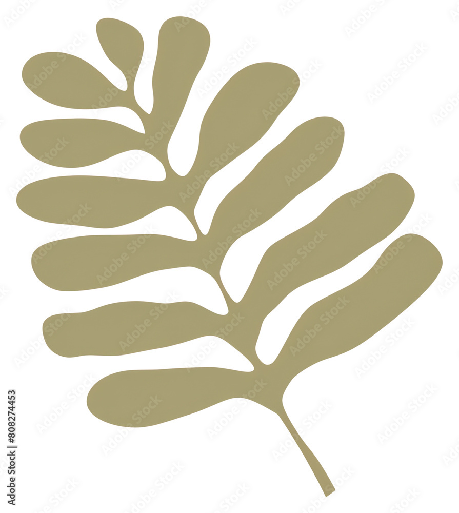 PNG Illustration of a simple tamarind leaf plant art astragalus. PNG Illustration of a simple tamarind leaf plant art astragalus.