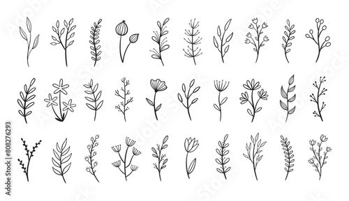 Set of hand drawn flowers and tree branches with leaves on white background. Vector illustration © Victoria Guzeeva