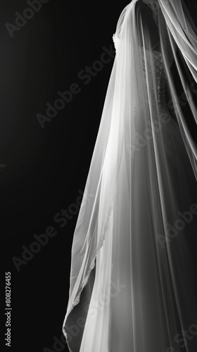 A woman in a wedding dress and veil