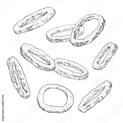 Sketch style fried onion rings in batter isolated on white background. Engraved illustration of fast food