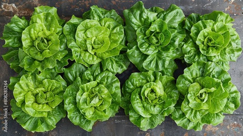  A wooden table holds green lettuce, while a nearby planter contains green leafy lettuce