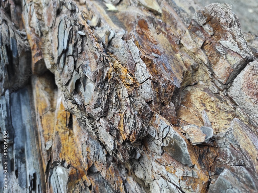 Geodesy texture photo. Texture of natural rocks of earth and stone. design blank Geodesy texture photo. Texture of natural rocks of earth and stone. design blank