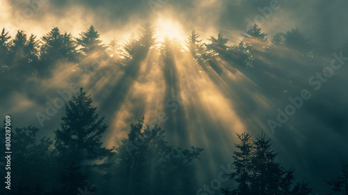 Sun Shining Through Clouds Above Trees