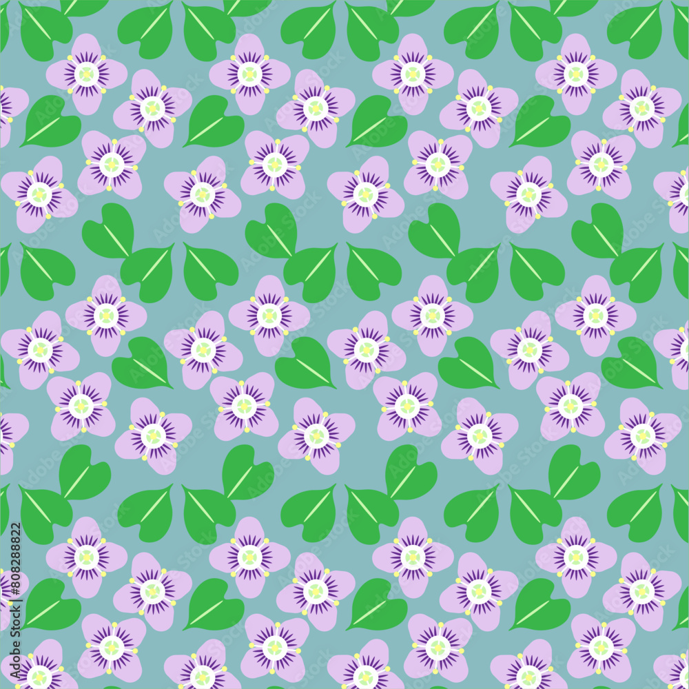 Art & Illustration speedwell flower pattern. Art & Illustration speedwell flower pattern.