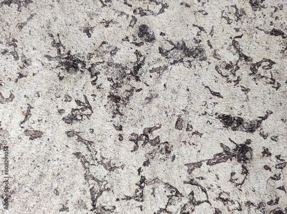 Gray concrete texture. Gray texture background and blank Gray concrete texture. Gray texture background and blank