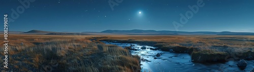 Moonlit tranquility of the grassy plains 