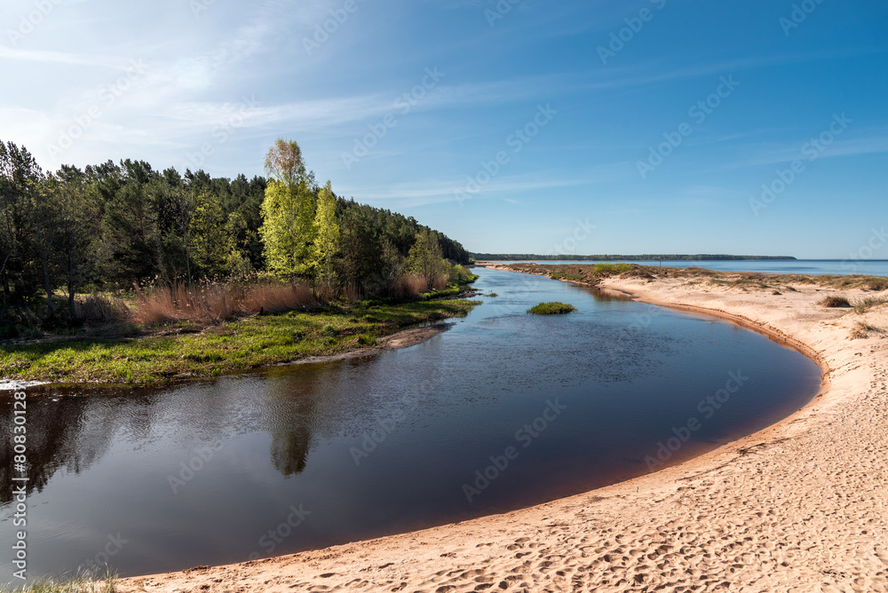 Fototapeta premium Vitrupe river mouth on sunny spring day