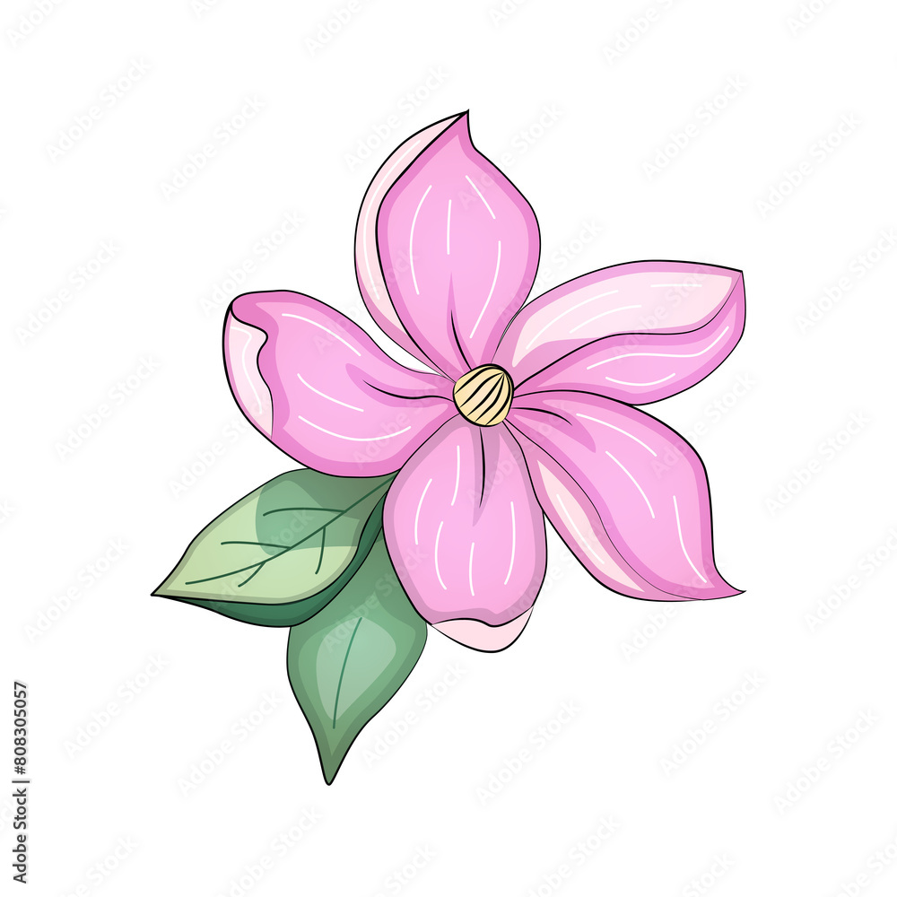 Set of flowers anemone, peony, magnolia, violet, a beautiful bouquet Set of flowers anemone, peony, magnolia, violet, a beautiful bouquet