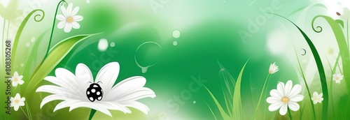 Ladybug daisy flower background. Spring, summer flyer. Mothers day Birthday. Grass, leaf, butterfly, watercolor grunge floral pattern. Isolated modern season illustration. Nature greeting card