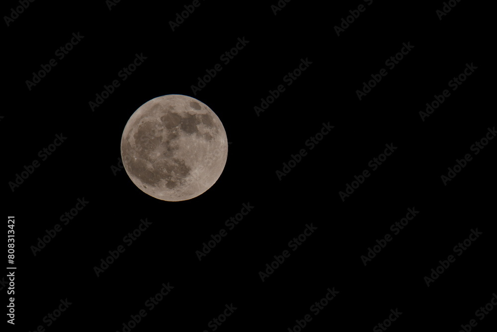 Full moon in the night Full moon in the night