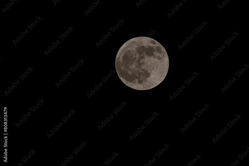 Full moon in the night Full moon in the night